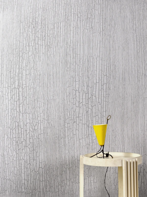 Architect_Book_Decorative_stucco_plaster_Dekorputz_Viero_krakkle_1